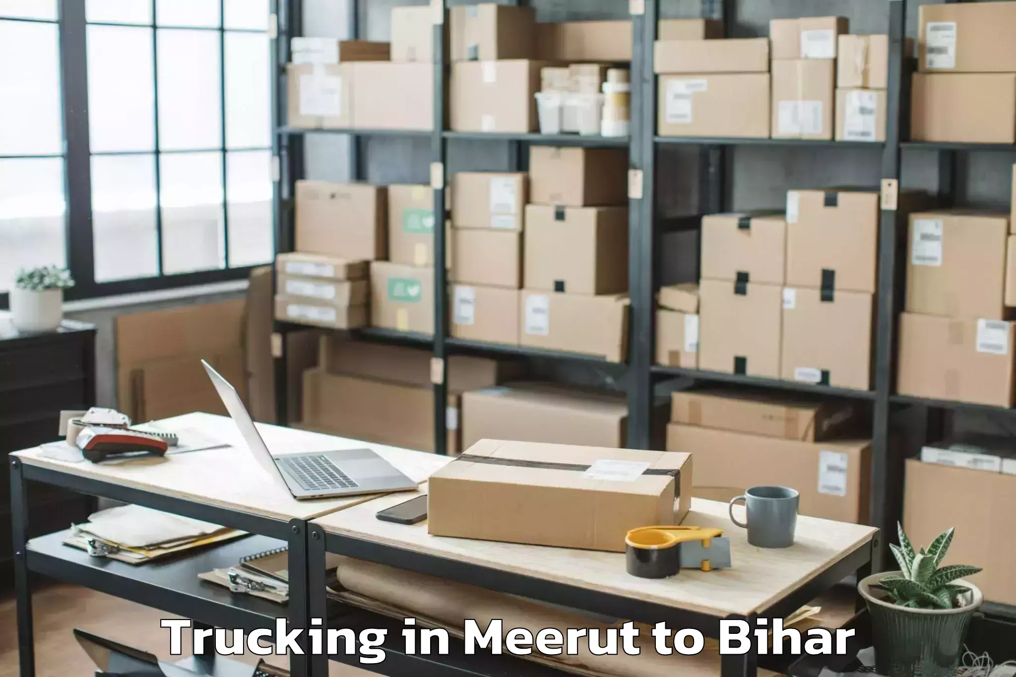 Book Meerut to Malmaliya Trucking Online